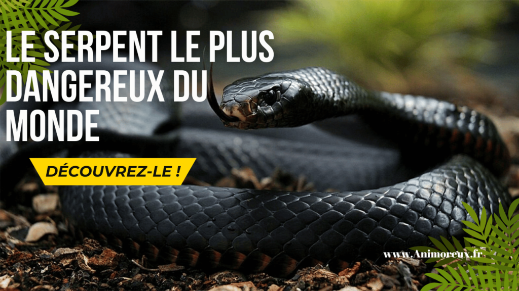 Le-serpent-le-plus-dangereux-du-monde