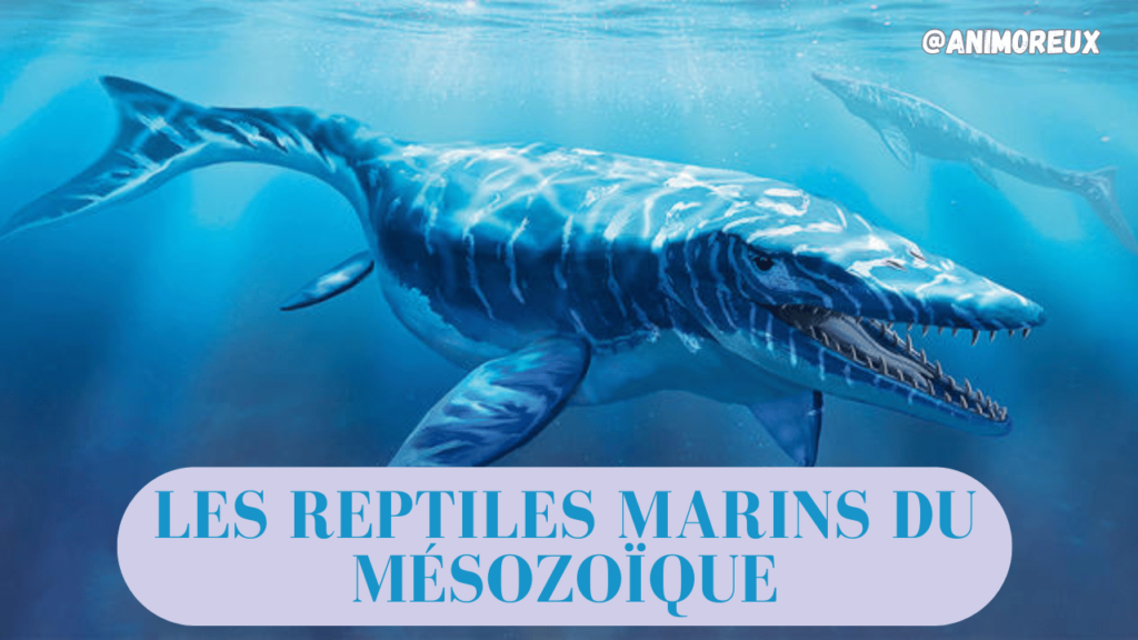 reptiles-marins-du-Mésozoïque